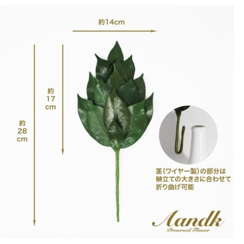 榊 プレミアムプリザーブドS FS-003SV メーカー直送 ▼返品・キャンセル不可【他商品との同時購入不可】