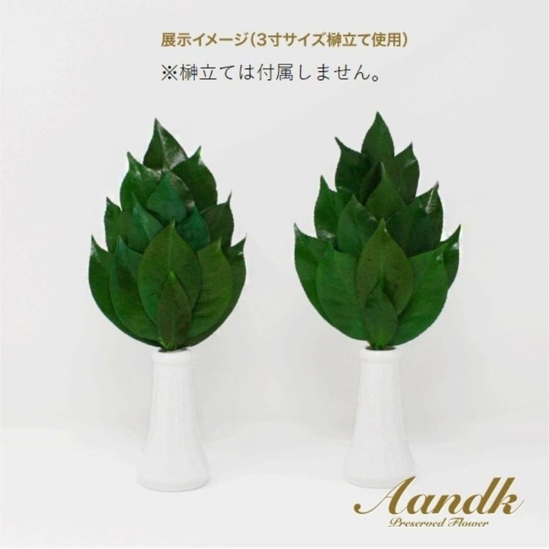 榊 プレミアムプリザーブドS FS-003SV メーカー直送 ▼返品・キャンセル不可【他商品との同時購入不可】