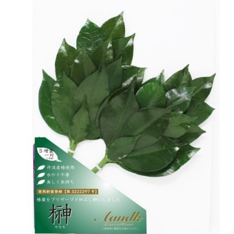 榊 プレミアムプリザーブドS FS-003SV メーカー直送 ▼返品・キャンセル不可【他商品との同時購入不可】