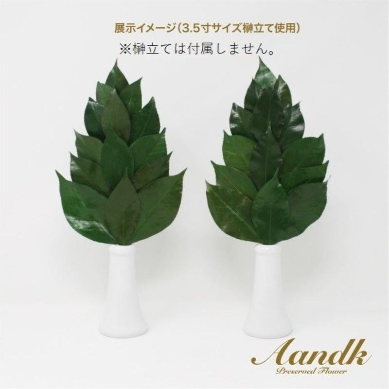 榊 プレミアムプリザーブド 榊 M FS-004M メーカー直送 ▼返品・キャンセル不可【他商品との同時購入不可】