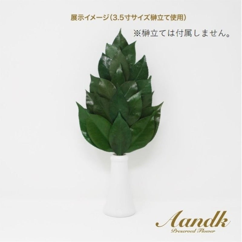 榊 プレミアムプリザーブドM FS-005MV メーカー直送 ▼返品・キャンセル不可【他商品との同時購入不可】