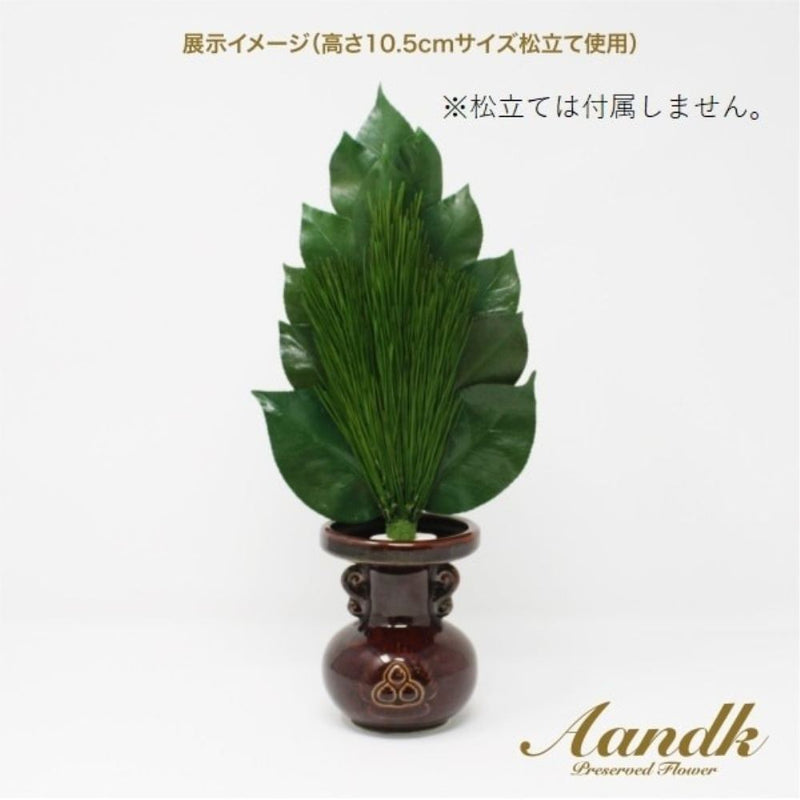 榊 プレミアムプリザーブド 荒神松 M  FK-007M メーカー直送 ▼返品・キャンセル不可【他商品との同時購入不可】