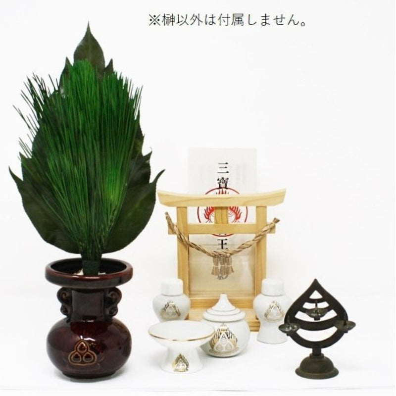 榊 プレミアムプリザーブド 荒神松 M  FK-007M メーカー直送 ▼返品・キャンセル不可【他商品との同時購入不可】