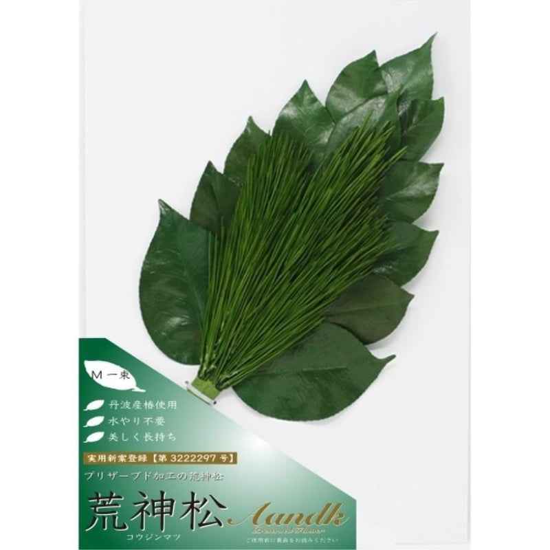 榊 プレミアムプリザーブド 荒神松 M  FK-007M メーカー直送 ▼返品・キャンセル不可【他商品との同時購入不可】