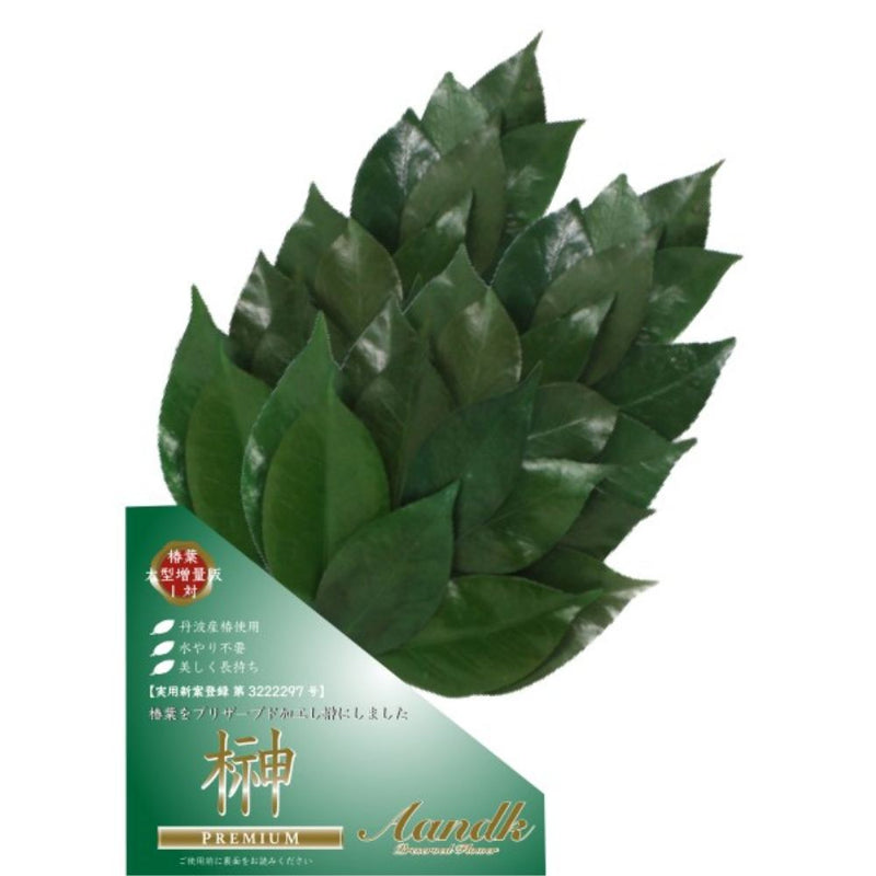 榊 プレミアムプリザーブド榊 M FS-011ML メーカー直送 ▼返品・キャンセル不可【他商品との同時購入不可】