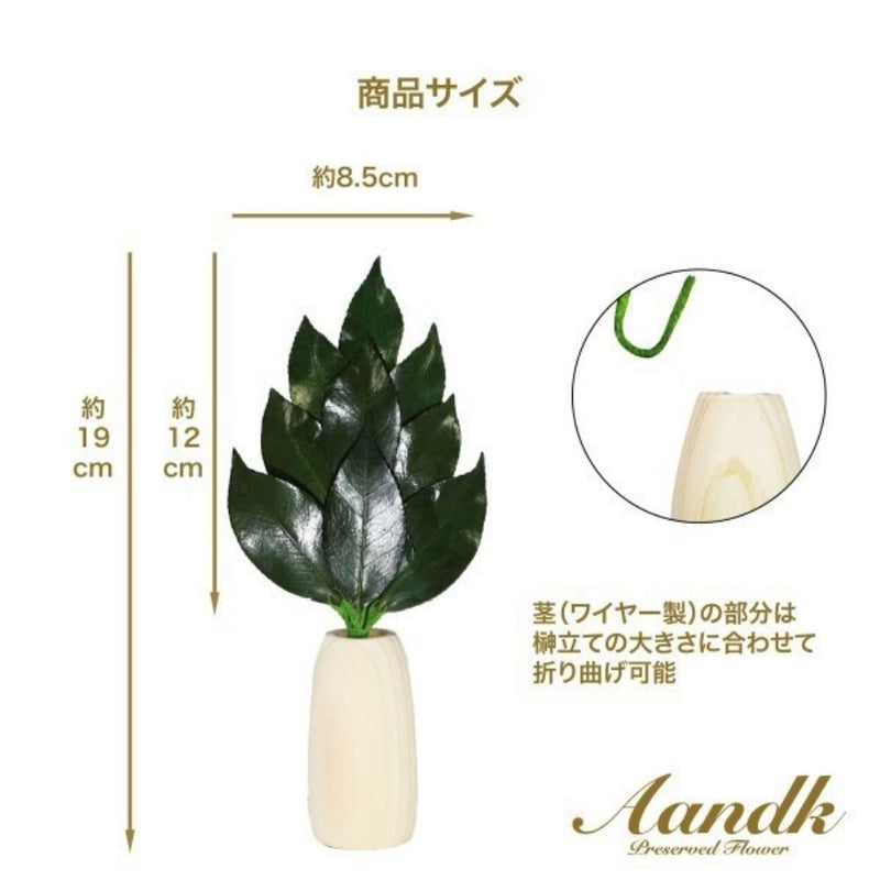 ミニ S 榊 丸榊立てセット SR-006 メーカー直送 ▼返品・キャンセル不可【他商品との同時購入不可】