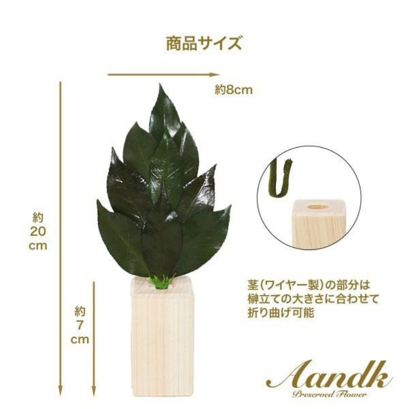 ミニS榊 角立て 鳥居付き神棚大セット ST-036 メーカー直送 ▼返品・キャンセル不可【他商品との同時購入不可】