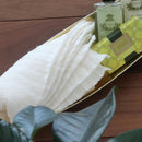 アベイチ 潤いボディタオル（袋）RTBDT-002 ホワイト