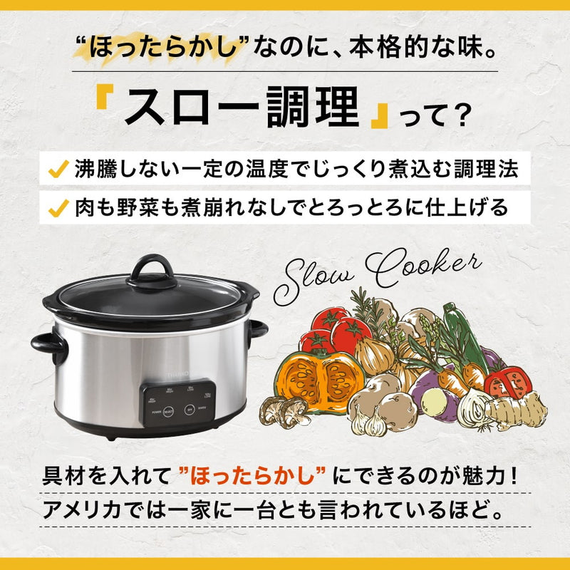 本格おまかせ煮込み マスタースロークッカーポット VASLCKS メーカー直送 ▼返品・キャンセル不可【他商品との同時購入不可】