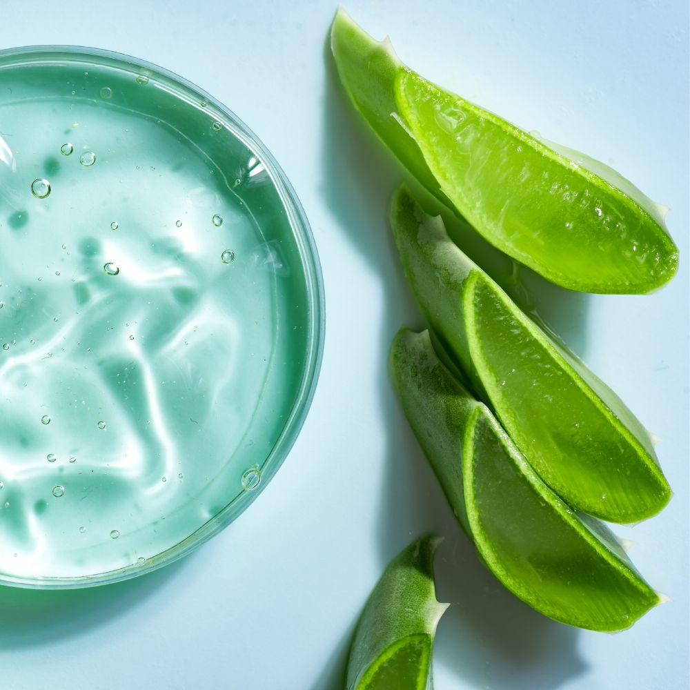 skin bliss creme aloe vera The Body Shop Aloe Soothing Night Cream 50 ml main image 0