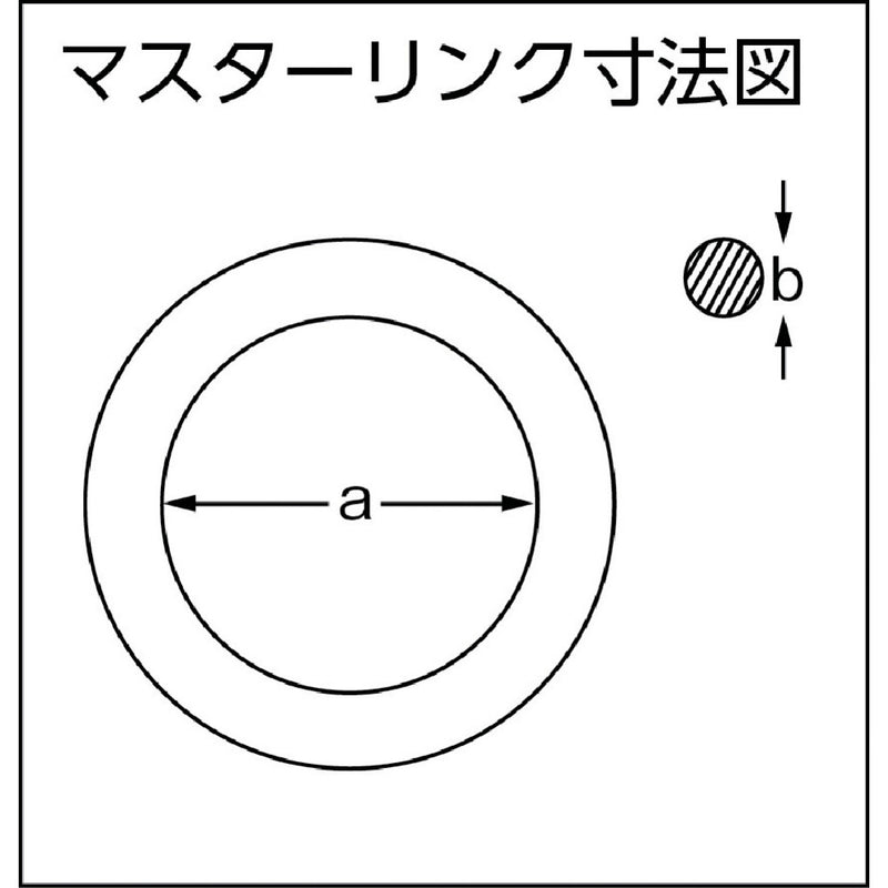 大洋 4本吊 ワイヤスリング メーカー直送 ▼返品・キャンセル不可【他商品との同時購入不可】