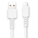 FSC TYPE-Cケーブル1.0M FS-UAC100-WH