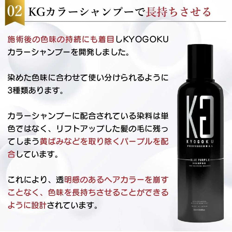 KYOGOKU IROME スモーキーシルバー 100g