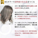 KYOGOKU IROME ダスクグレー 100g