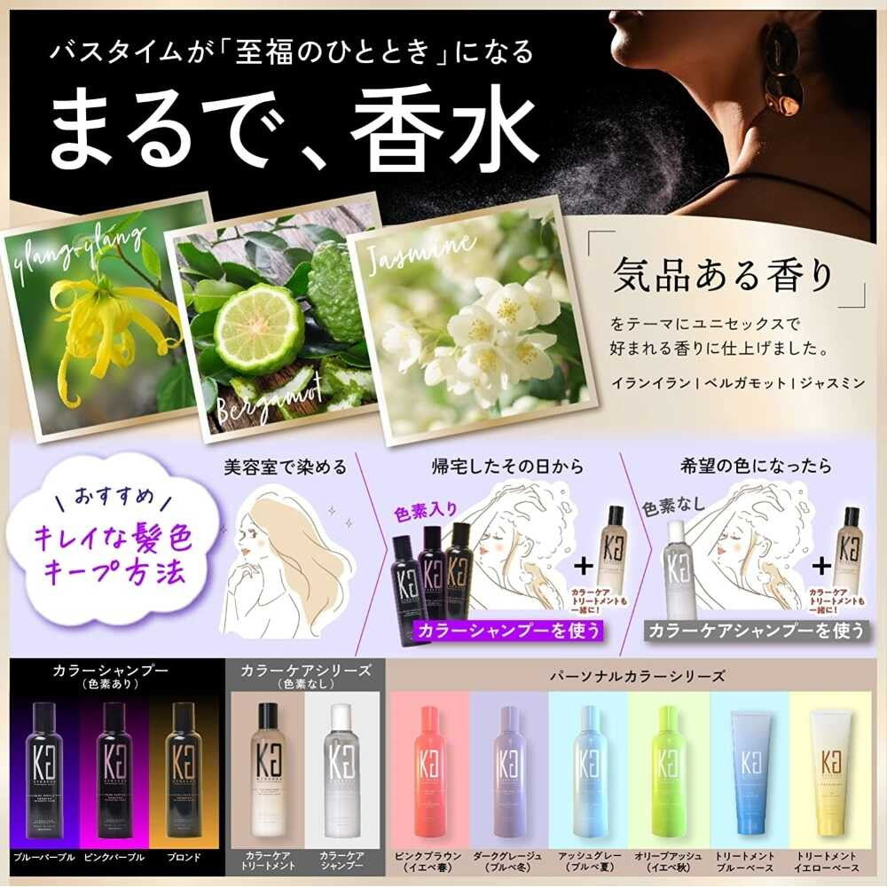 GraduRecolor Shampoo グラジュリカラーシャンプー3個セット