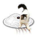 キャッチ・ミー・イフ・ユー・キャン2 猫のお庭 メーカー直送▼返品・キャンセル不可【他商品との同時購入不可】