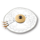 キャッチ・ミー・イフ・ユー・キャン2 猫のお庭 メーカー直送▼返品・キャンセル不可【他商品との同時購入不可】