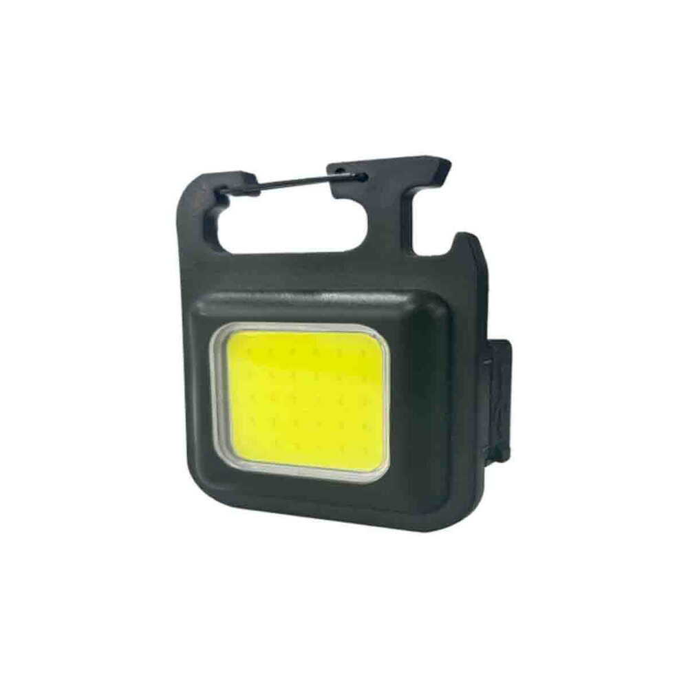 アンテル ANTEL COBカラビナライト250lm 充電式 typeC コンパクト