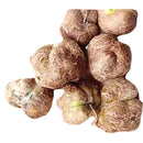 エーアイプロダクツ MEROMERO ちゅうえい果 ファイブ