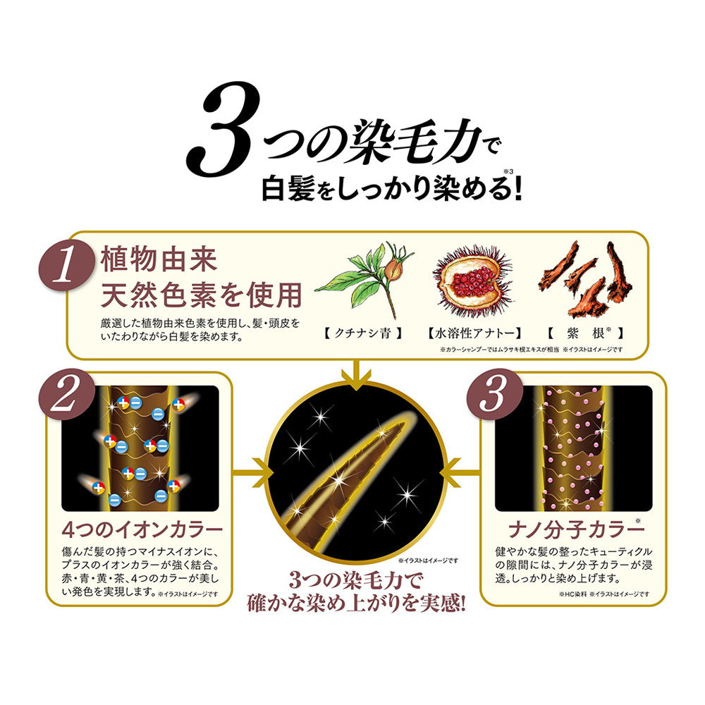 利尻ヘアカラートリートメント ブラック（Q:利尻ヘアカラー