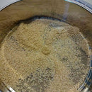 胚芽抽出器 MB-RC52・YE-RC17A用 YE-HG18A メーカー直送 ▼返品・キャンセル不可【他商品との同時購入不可】