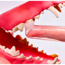 フォーキャンス 指サックシリコンブラシ コンビ  2個入り