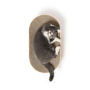 バリバリボウルXL オーバル ライトブラウン メーカー直送▼返品・キャンセル不可【他商品との同時購入不可】