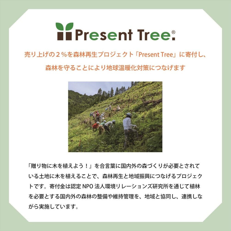 晴雨兼用 折傘 55cm エコルーペット 5段 16646KH メーカー直送 ▼返品・キャンセル不可【他商品との同時購入不可】