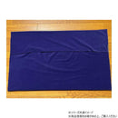 ペット用 テラペットベッド ブルー Lサイズ メーカー直送 ▼返品・キャンセル不可【他商品との同時購入不可】