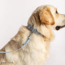 リード 95cm-156cm x 2cm GR-LEA-002 メーカー直送 ▼返品・キャンセル不可【他商品との同時購入不可】