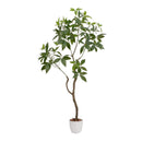 光触媒 インテリアグリーン パキラ[04571] メーカー直送 ▼返品・キャンセル不可【他商品との同時購入不可】