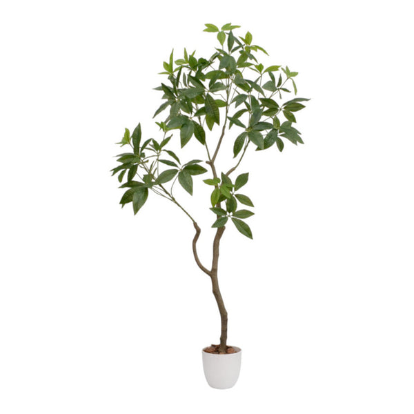 光触媒 インテリアグリーン パキラ[04571] メーカー直送 ▼返品・キャンセル不可【他商品との同時購入不可】