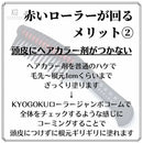 KYOGOKU ローラージャンボコーム 1個