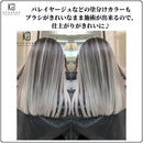 KYOGOKU カラーブラシ リタッチ用 1個