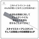 KYOGOKU ハイライトコーム 1個