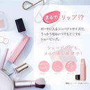 シック サロンプラス リップスティック シェーバー ホルダー（刃付き）  1個