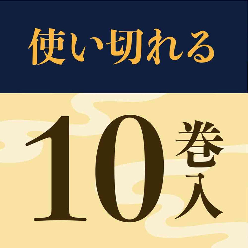 アース 渦巻香 プロプレミアム 10巻入り