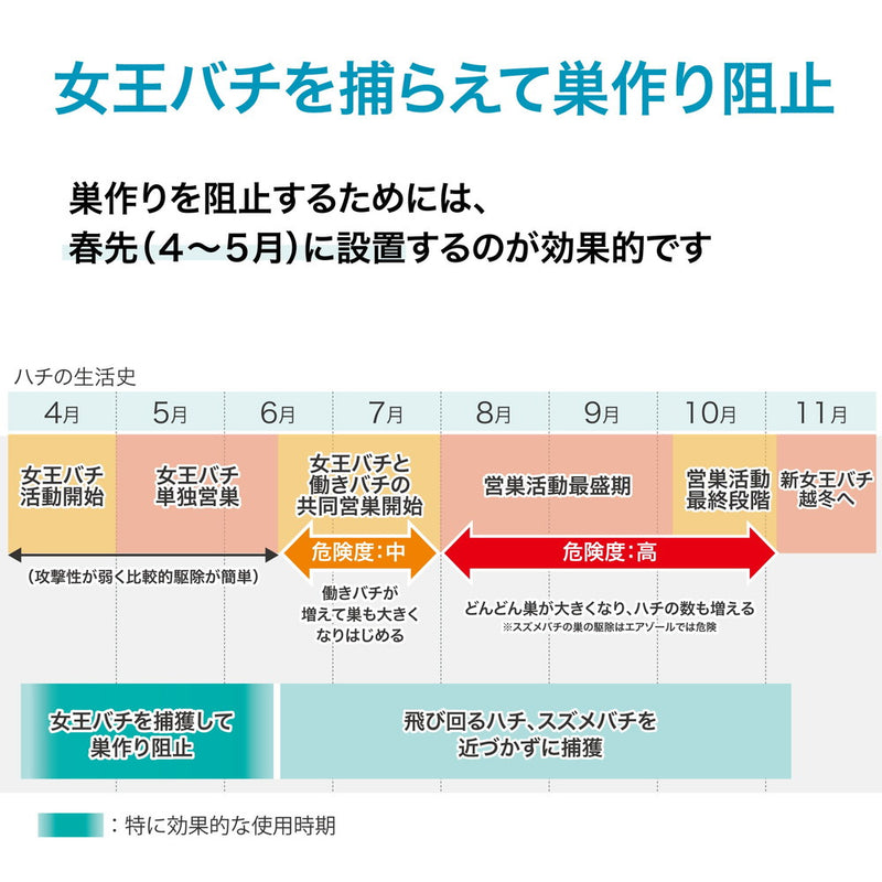 ハチがホイホイ