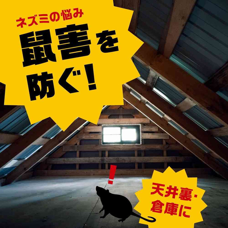 アース製薬 デスモアプロ 投げ込みタイプ 5gX12包
