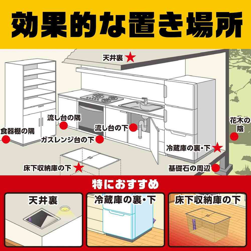 アース製薬 デスモアプロ 投げ込みタイプ 5gX12包