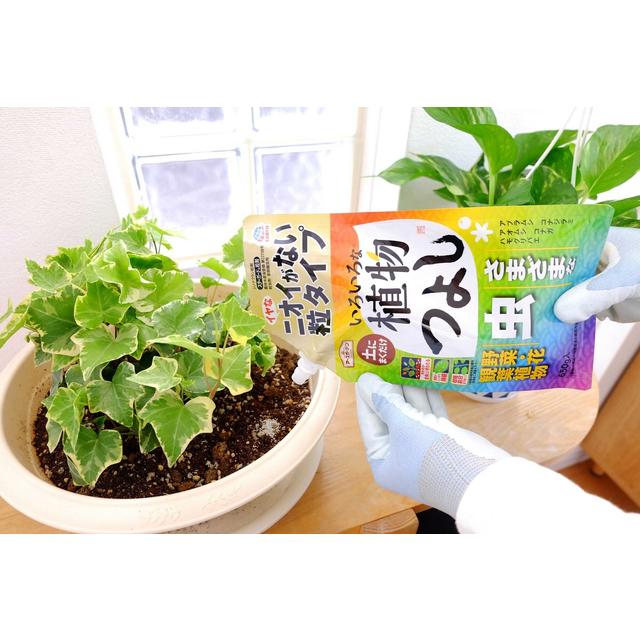 アースガーデン いろいろな植物つよし 粒タイプ650g