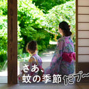 Earth Nomat 黑猪驱蚊剂 60 天套装