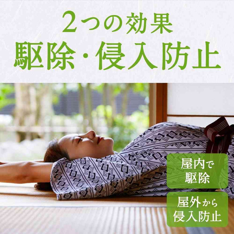 [季末] Earth Nomat 60 天套装无绳