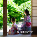 【害虫准药品】Earth Nomat液体驱蚊液套装60天白蓝色本体+1个替换器+1个药瓶（无味60天）