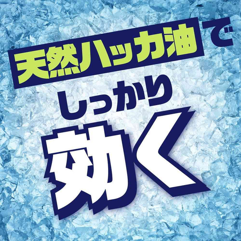 【防除用医薬部外品】【季節終了】【防除用医薬部外品】アース ナチュラス 凍らすジェット ゴキブリ秒殺 200ml