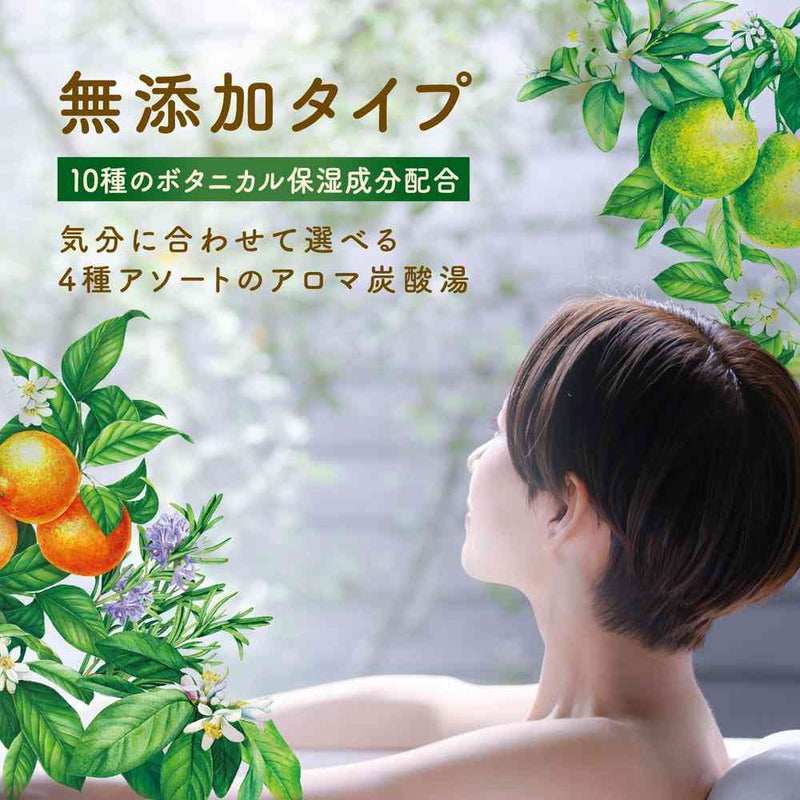 【医薬部外品】アース製薬 温泡 ボタニカルタイム 12錠入（4種類×3錠）