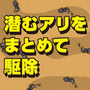 アース製薬 アースガーデン アリ撃滅 シャワータイプ 1000ml
