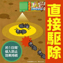 アース製薬 アリアースW 300ml