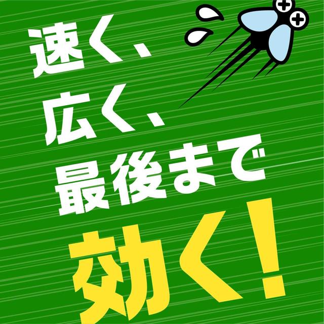 アース 虫よけネットEX あみ戸用 260日用 2個入り