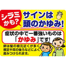 【第2類医薬品】アース製薬 シラミとりシャンプー 100ml